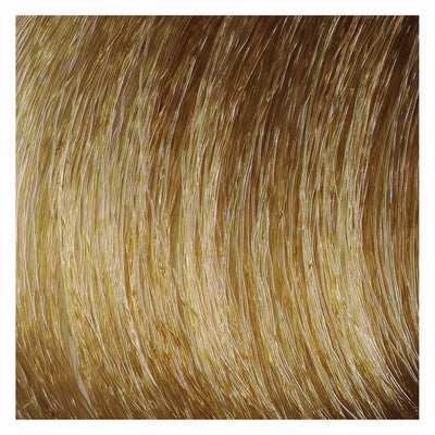COLOR & SOIN plaukų dažai be amoniako 8G Sandy Golden Blond 135 ml
