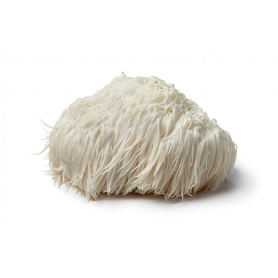 Lion‘s Mane Organic kapsulės N60
