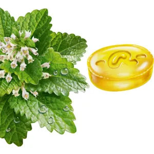 RICOLA ZITRONENMELISSE citrinų ir melisų skonio pastilės su žolelėmis, BE CUKRAUS, su saldikliais, 75g