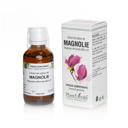 Vaistinių magnolijų pumpurų ekstraktas, geriamieji lašai 50 ml, nuotrauka Nr. 1