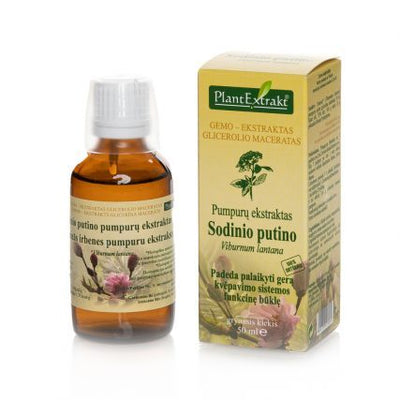 Sodinių putinų pumpurų ekstraktas, geriamieji lašai 50 ml