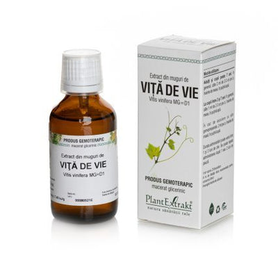 Tikrųjų vynmedžių pumpurų ekstraktas, geriamieji lašai 50 ml