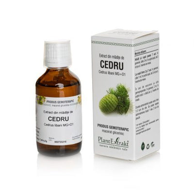 Libaninių kedrų ūglių ekstraktas, geriamieji lašai, 50 ml