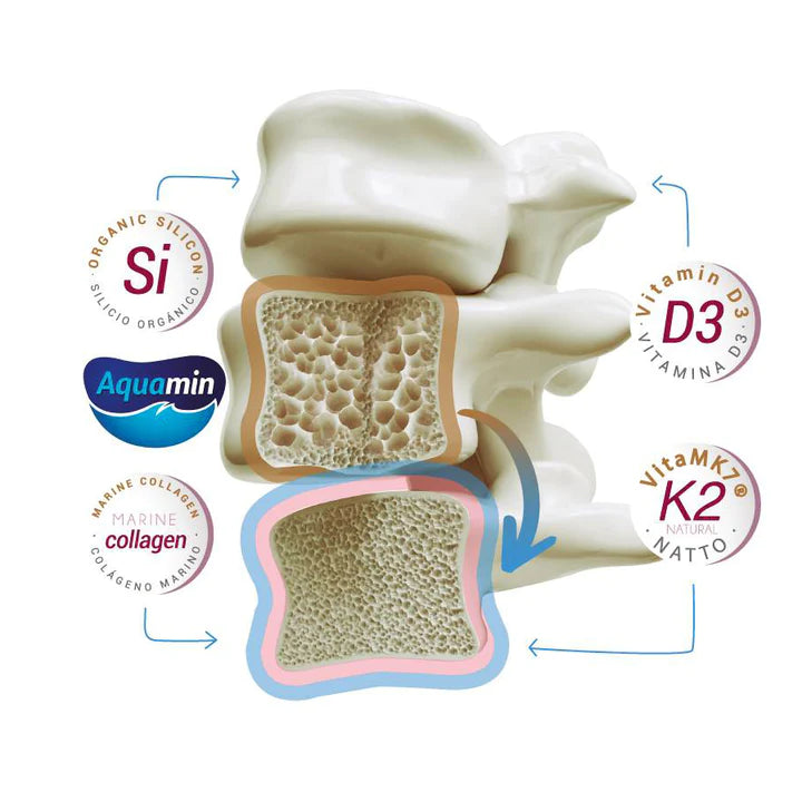 CALCIUM‘ASIMIL K2 + D3 su saldikliu, milteliai N30, nuotrauka Nr. 2