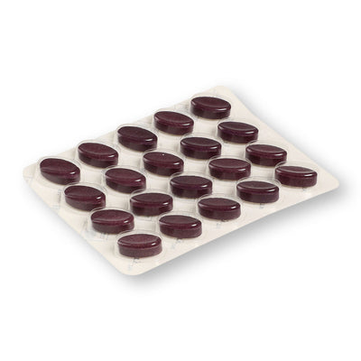 Blue Berry Eye Stress tabletės N60